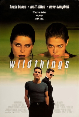 Wild Things 1 1998  Dub in Hindi Full Movie